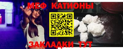 сатива Новозыбков