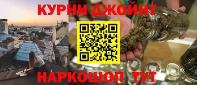 сатива Новозыбков