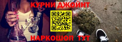 сатива Новозыбков